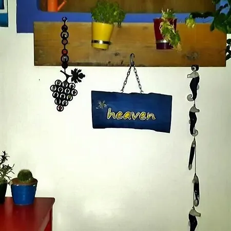 Kaya & 4* 博德鲁姆